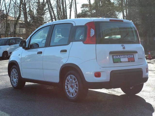 Fiat Panda 4x2