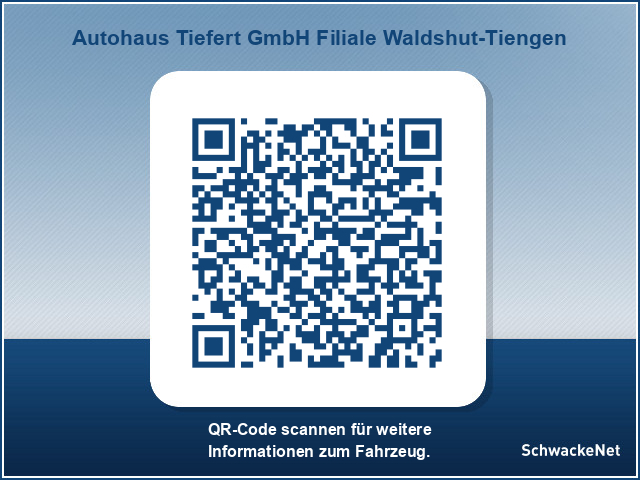 Toyota C-HR 5-deurs Team D