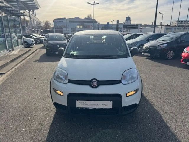 Fiat Panda Base, Mild Hybrid, Klima, DAB+