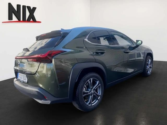 Lexus UX 250h Executive Line
