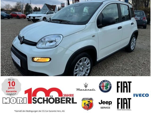 Fiat Panda CityCross