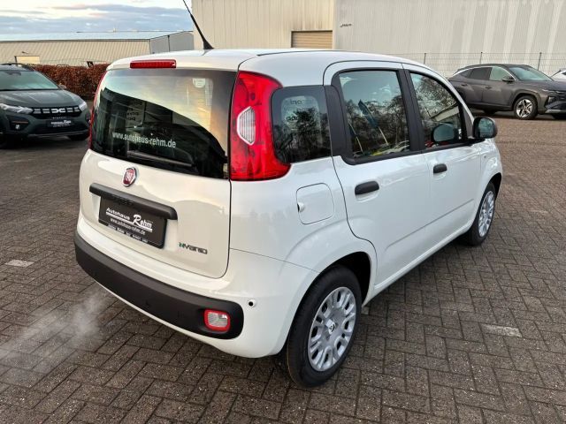 Fiat Panda Panda 1.0 GSE Mild-Hybrid | Klima | Tagfahrlicht
