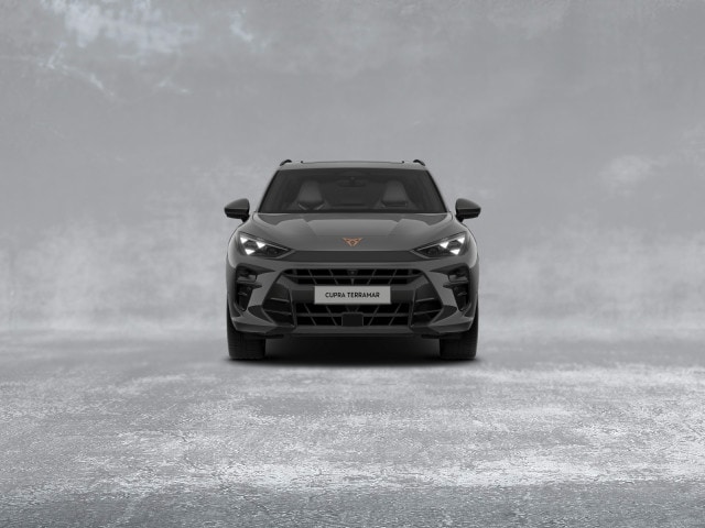 Cupra Terramar 2.0 TSI VZ