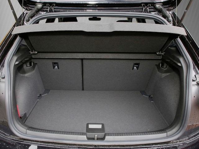 Volkswagen Polo 2.0 TSI DSG GTI