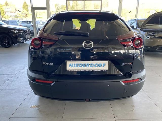 Mazda MX-30 R-EV Edition R GSD 360°, Matrix