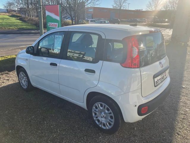 Fiat Panda Icon