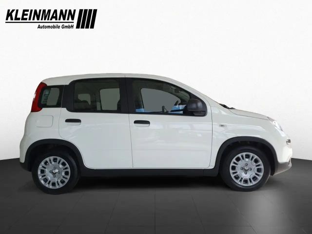 Fiat Panda "Pandina Urban" 1.0 GSE Hybrid (71 PS)