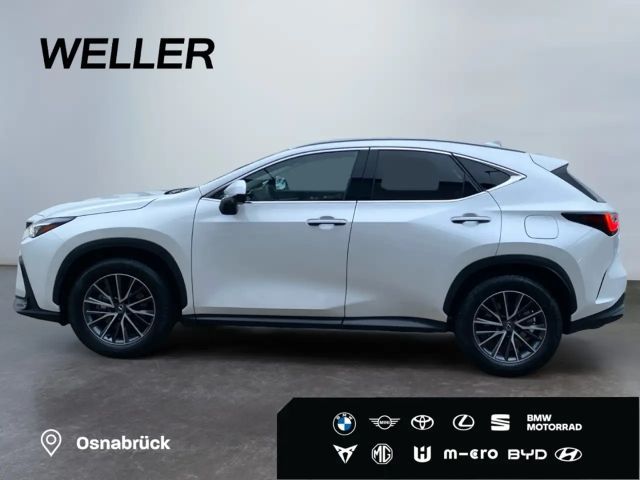 Lexus NX Executive Line
