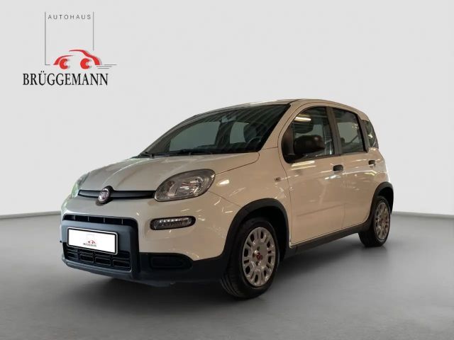 Fiat Panda 1.0 GSE Hybrid + Techpaket