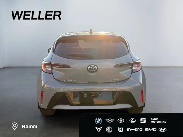 Toyota Corolla Hybride Team D