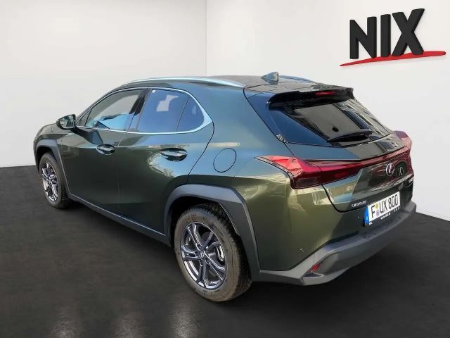 Lexus UX 250h Executive Line