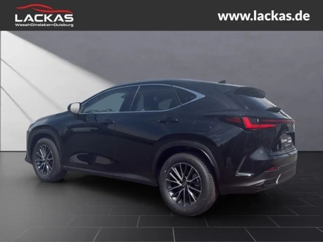 Lexus NX Executive Line
