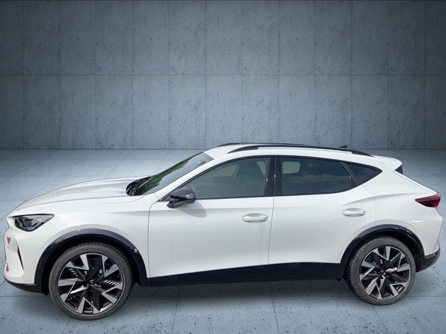 Cupra Formentor 2.0 TSI 4Drive DSG VZ