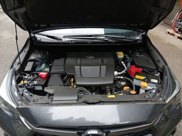 Subaru Crosstrek Style