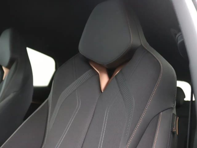 Cupra Tavascan Endurance