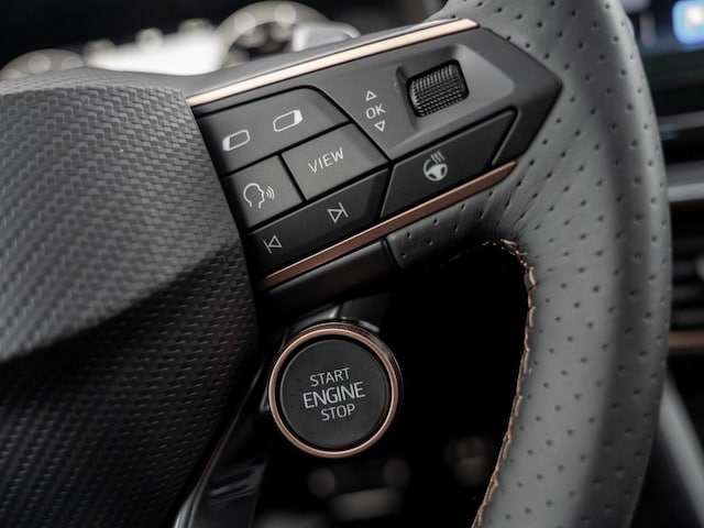 Cupra Formentor 2.0 TSI 4Drive DSG