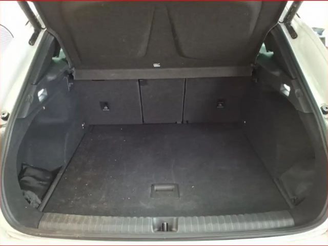 Cupra Terramar 2.0 TSI VZ