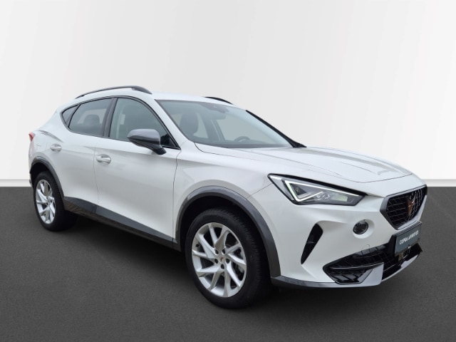 Cupra Formentor 1,5 TSi Navi Allwetter CAM SHZ LED