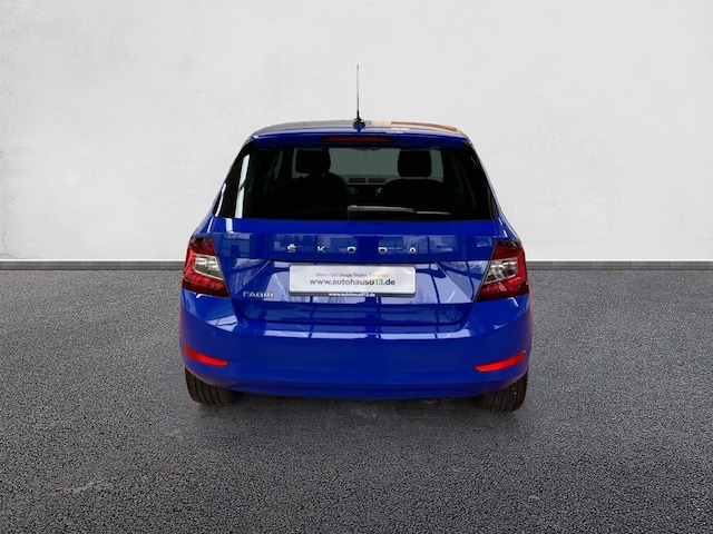 Skoda Fabia 1.0 TSI Best Clever