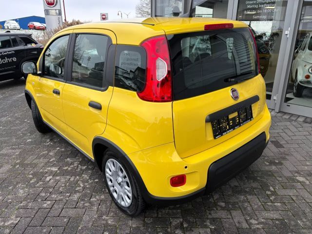 Fiat Panda Hybrid Klimaanlage/ABS/Garantie