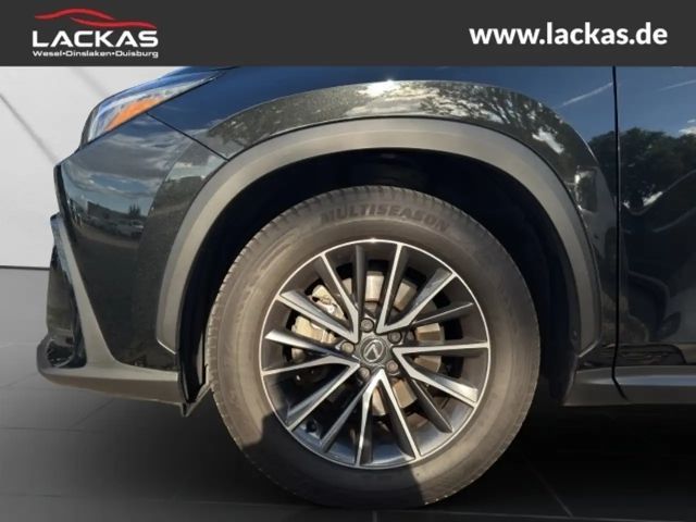 Lexus NX Executive Line