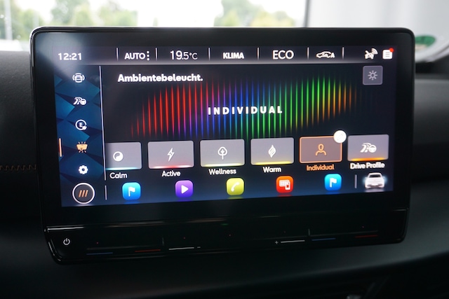 Cupra Born Born HUD LED RFK ACC Full Link Allwetter