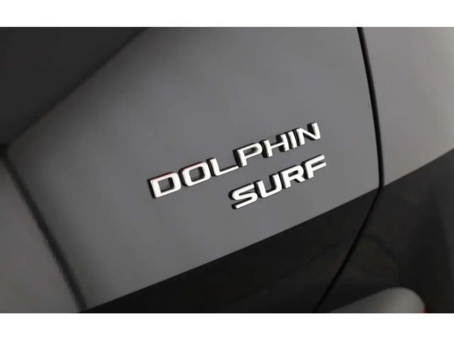 BYD Dolphin Comfort
