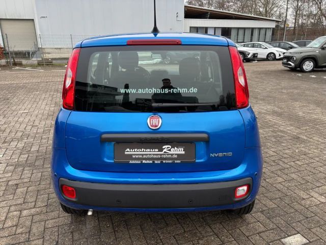 Fiat Panda Icon