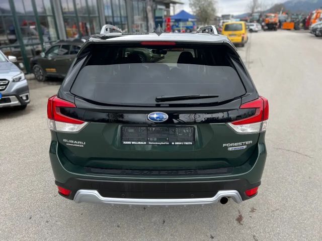 Subaru Forester Active