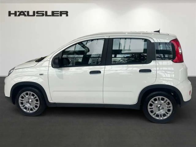 Fiat Panda Hybrid 1.0 GSE Klima, Parksens., Tempomat, ISOFIX