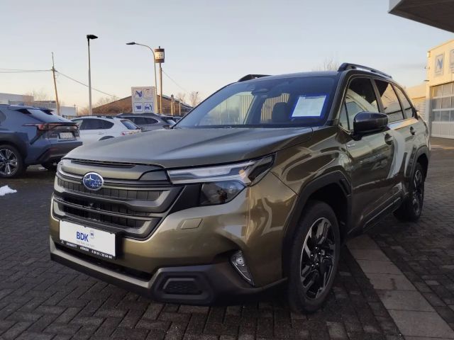 Subaru Forester Exclusive