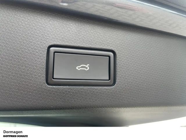 Cupra Tavascan Endurance