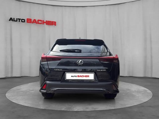 Lexus UX F Sport Sport