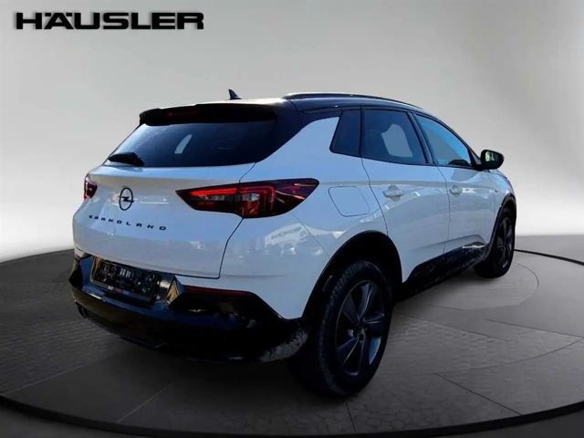 Opel Grandland X PDC Multimedia CarPlay Bluetooth DAB Kamera #39