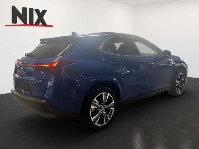Lexus UX Luxury Line