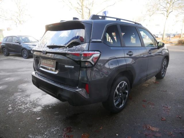 Subaru Forester Exclusive