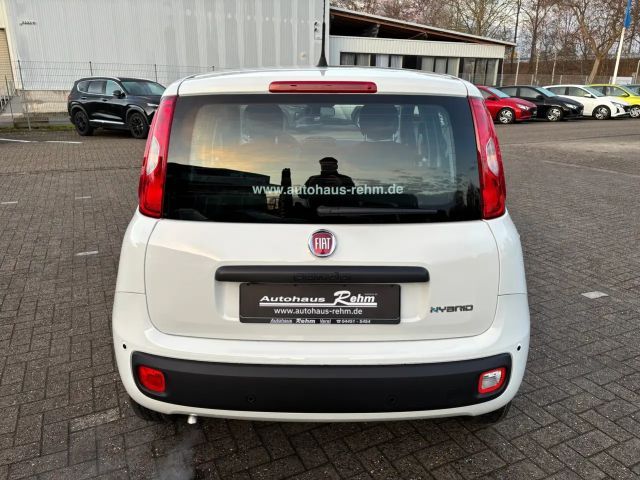 Fiat Panda Panda 1.0 GSE Mild-Hybrid | Klima | Tagfahrlicht