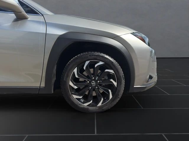 Lexus UX 250h