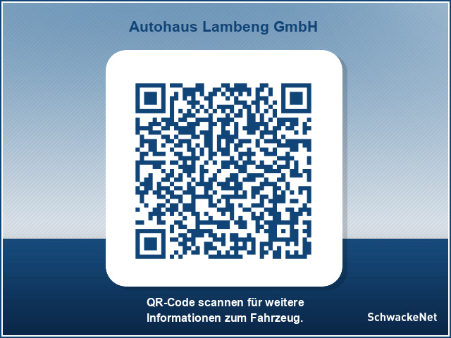 Toyota RAV4 5-deurs Team D