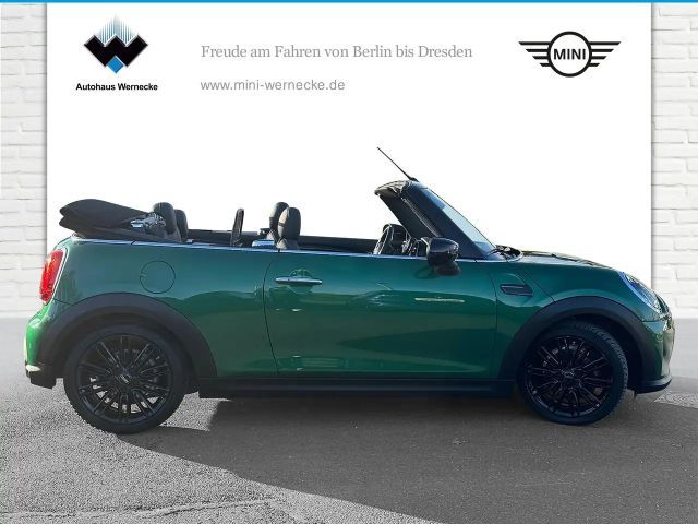 MINI Cooper Cabrio Cooper Cabrio DAB LED Komfortzg. Tempomat Shz