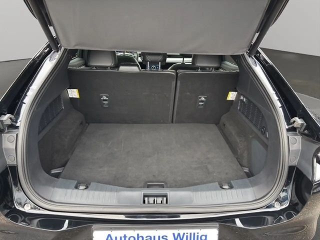 Ford Mustang Mach-E Basis