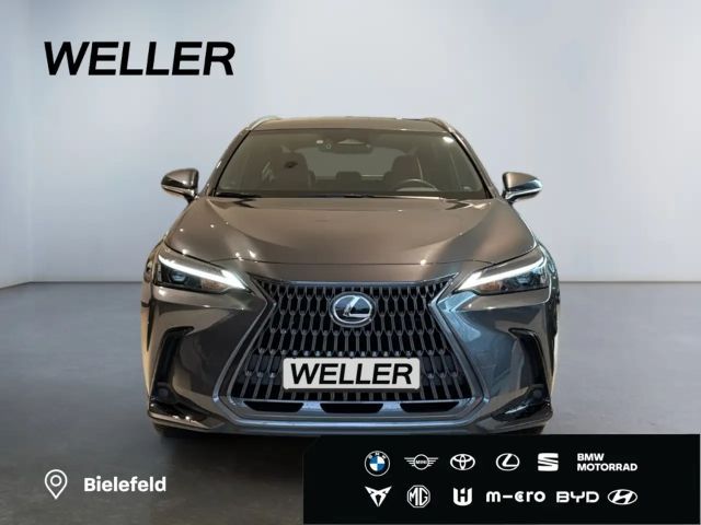 Lexus NX *Bi-LED*ACC*CAM*Navi*CarPlay*Soundsystem*
