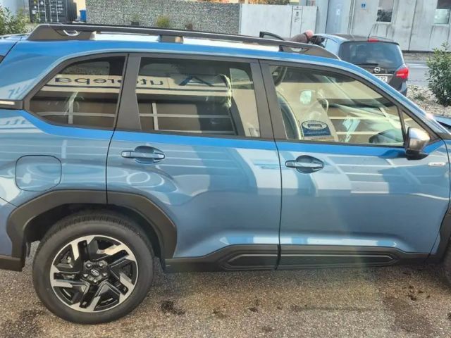 Subaru Forester Exclusive