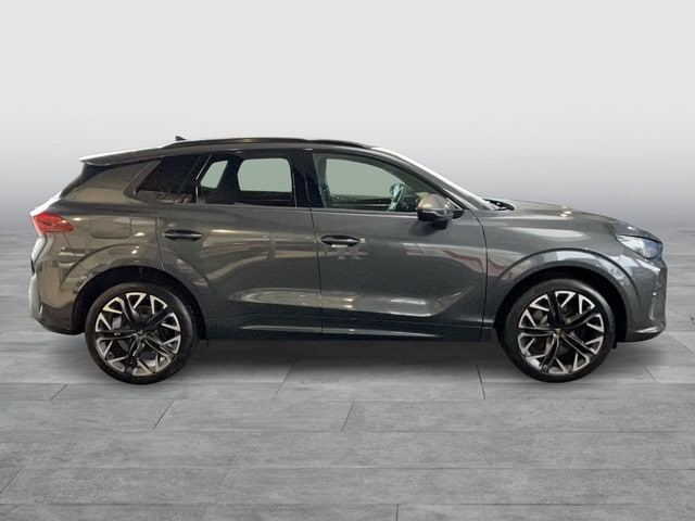 Cupra Terramar 2.0 TSI VZ