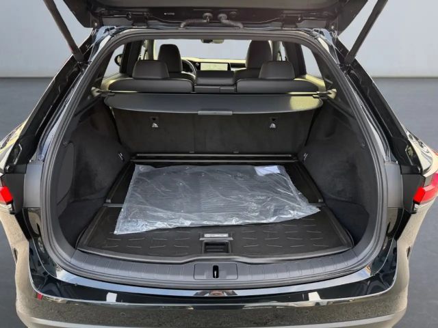 Lexus RX-Serie 4x4 Business Line