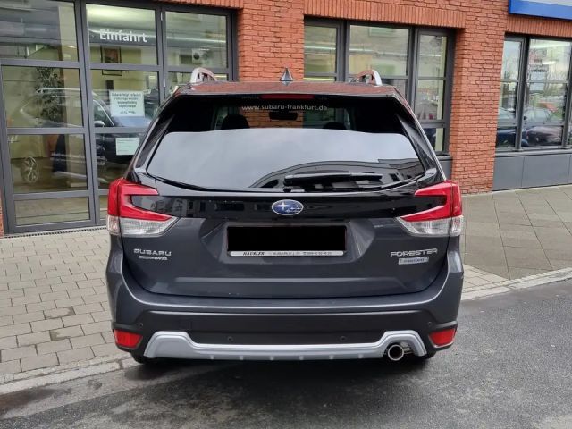 Subaru Forester Active