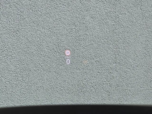 Skoda Octavia 2.0 TDI Combi Sportline iV