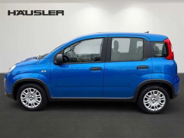 Fiat Panda Hybrid *Klima* *PDC* *digitaler Tacho* uvm.