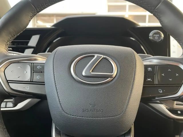 Lexus RX-Serie Executive Line