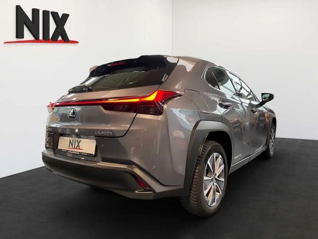 Lexus UX Executive Line